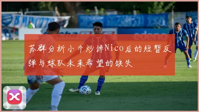 苏群分析小牛炒掉Nico后的短暂反弹与球队未来希望的缺失