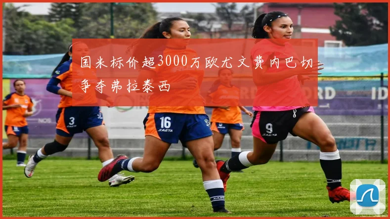 国米标价超3000万欧尤文费内巴切争夺弗拉泰西